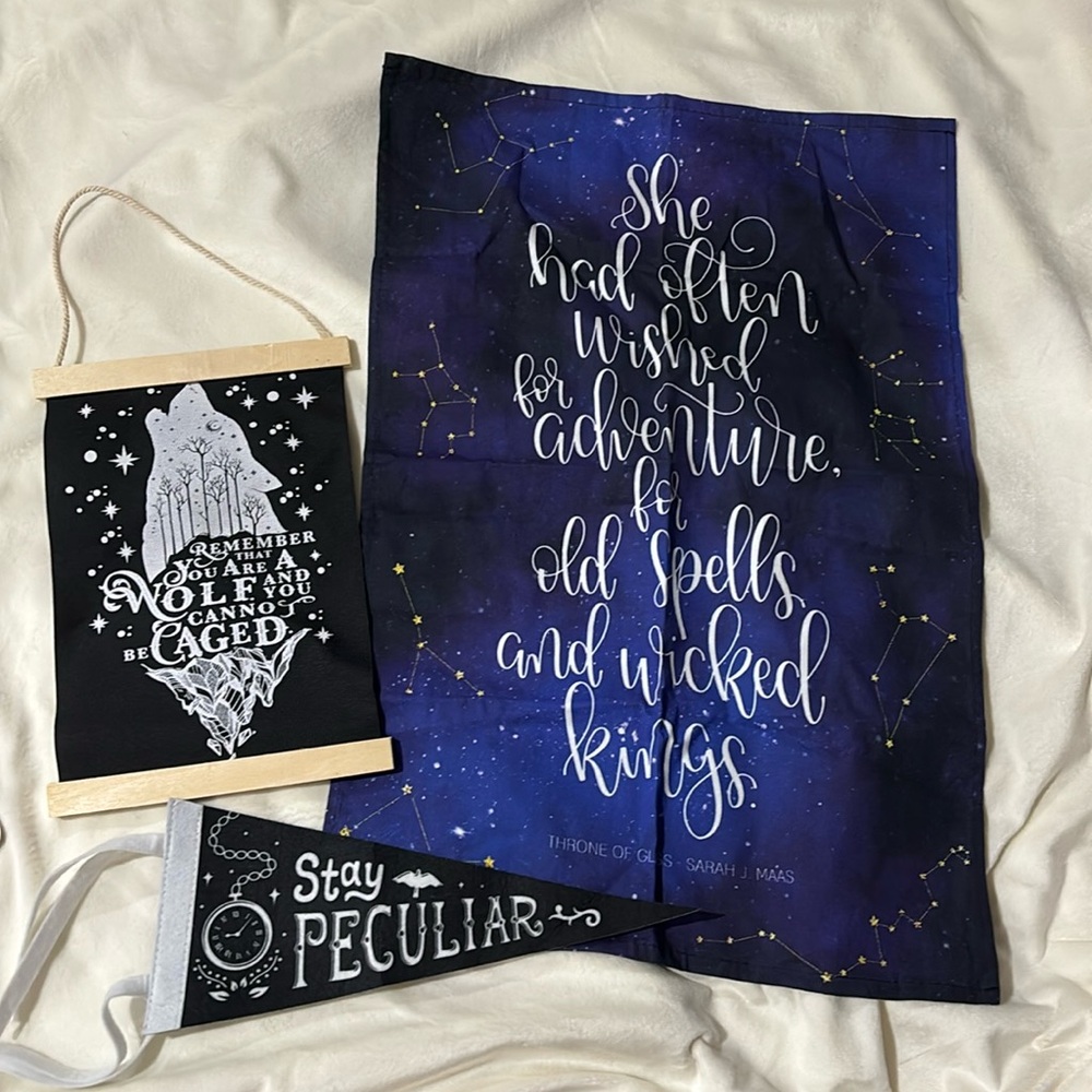 Owl Crate Wall Hanging Poster, Pennant, and Towel